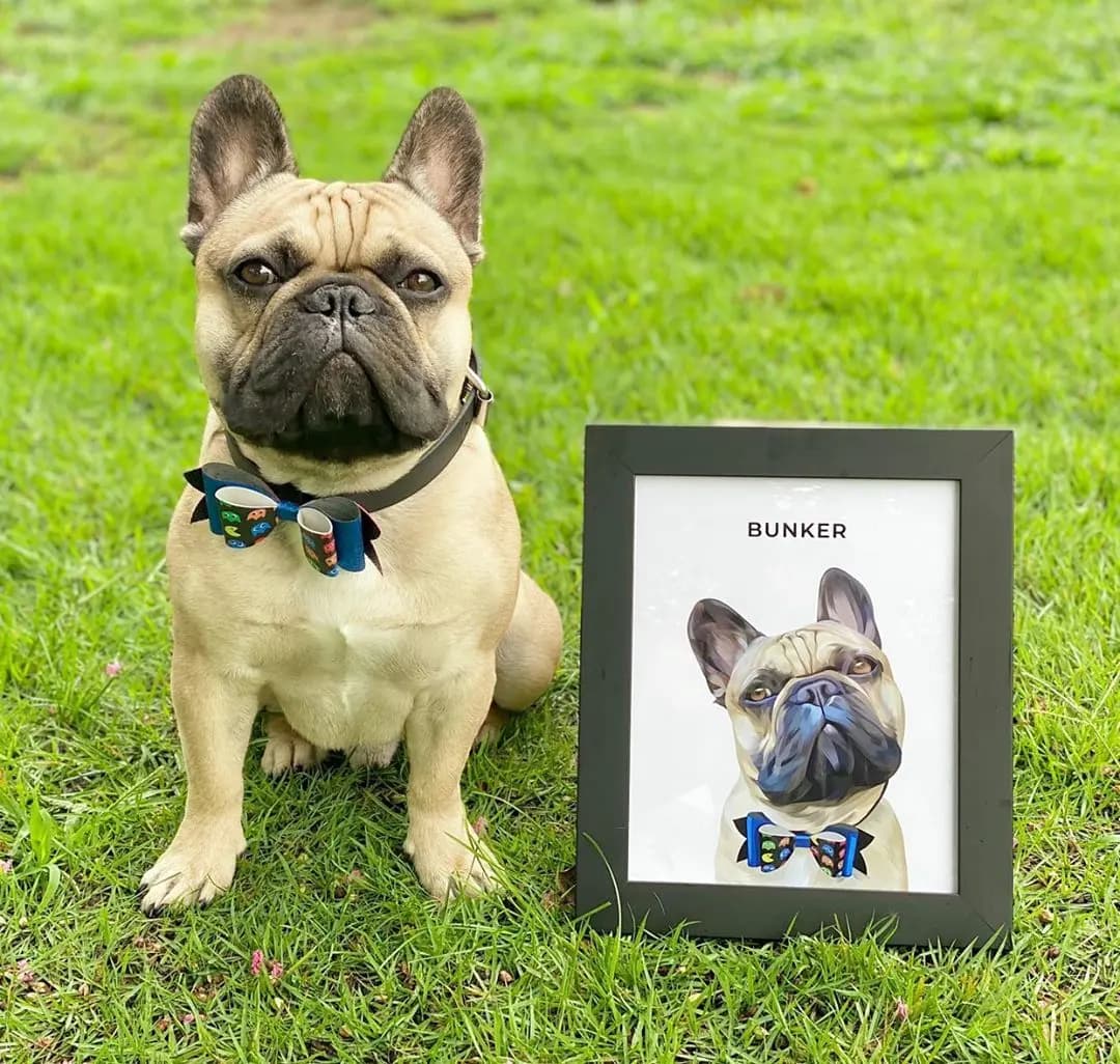 French bulldog beside a personalized framed pet portrait